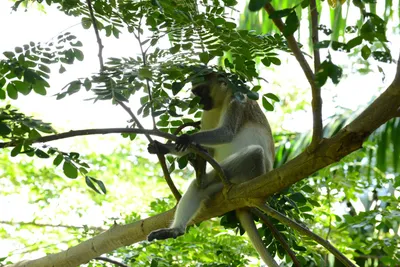 DSC_7909 (Large).JPG